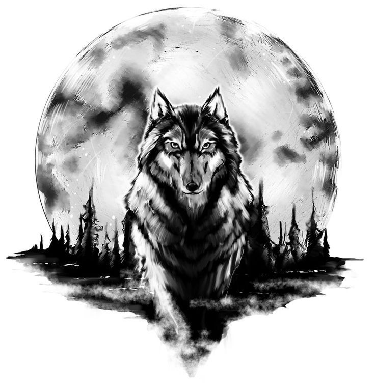48 Powerful Wolf Tattoo Designs (Tribal, Traditional, & Lone Wolf Tattoos)
